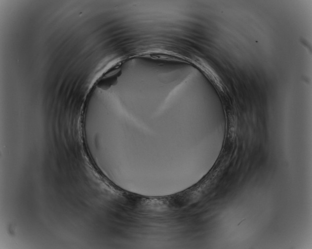 X0000092210806200710121128