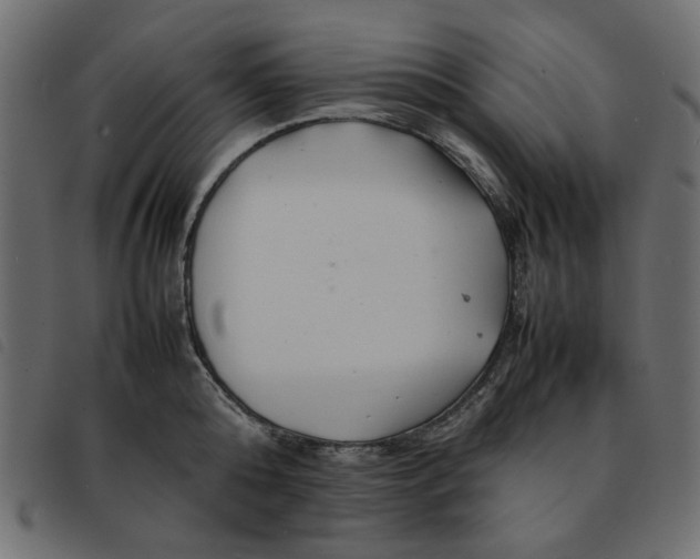 X0000092210808200710121128