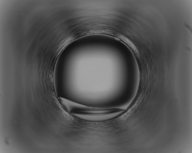 X0000092210809200710121128