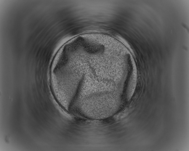 X0000092210811200710121127
