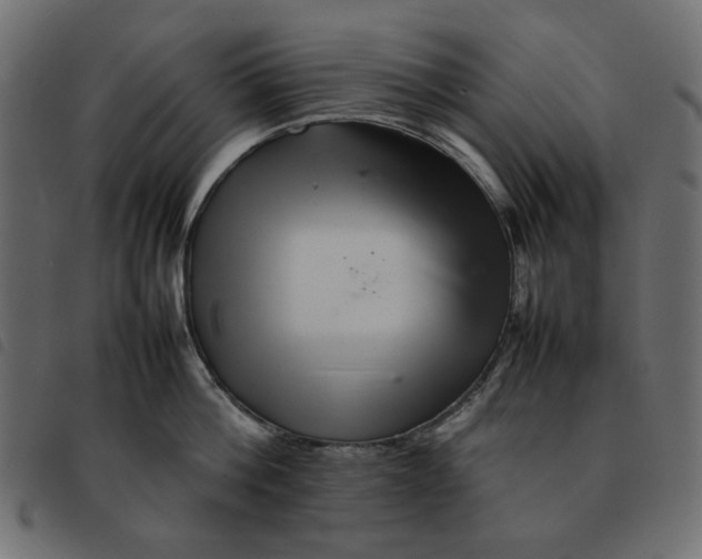 X0000092210812200710121127