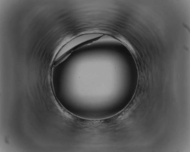X0000092210813200710121127