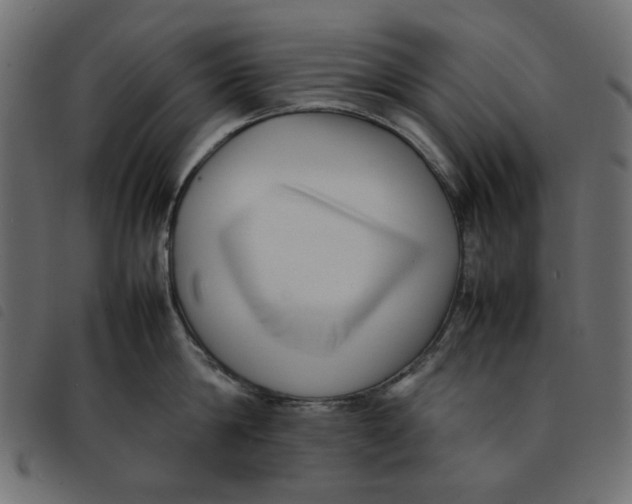X0000092210814200710121127