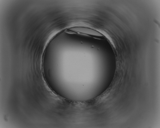 X0000092210815200710121127