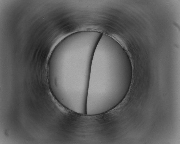 X0000092210816200710121127