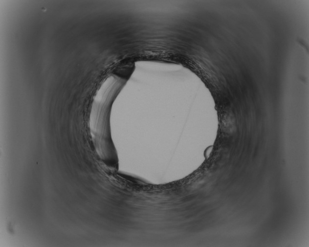 X0000092210817200710121127