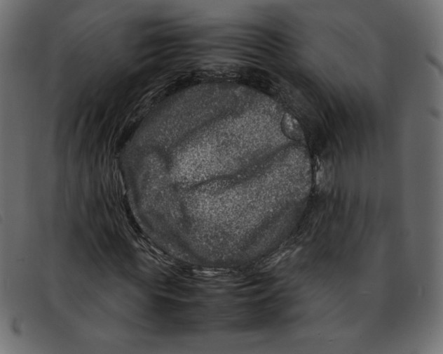 X0000092210819200710121127