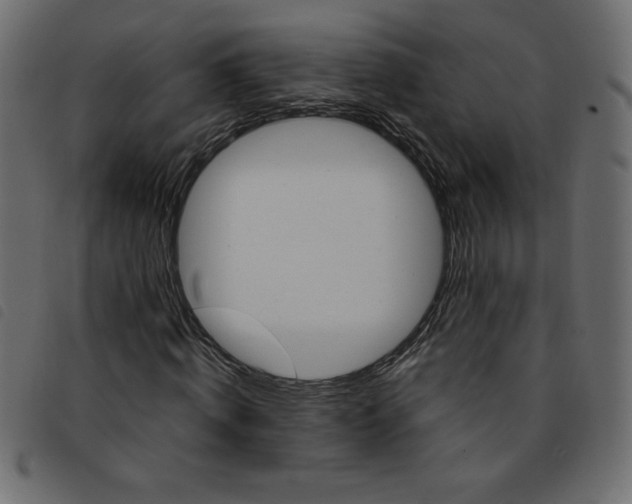 X0000092210820200710121127