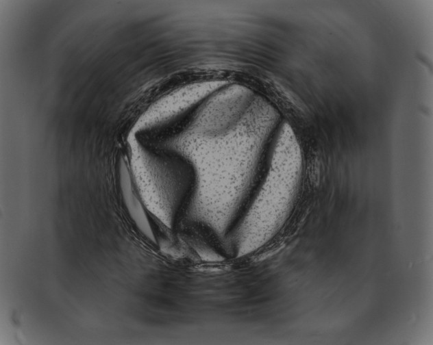 X0000092210821200710121127