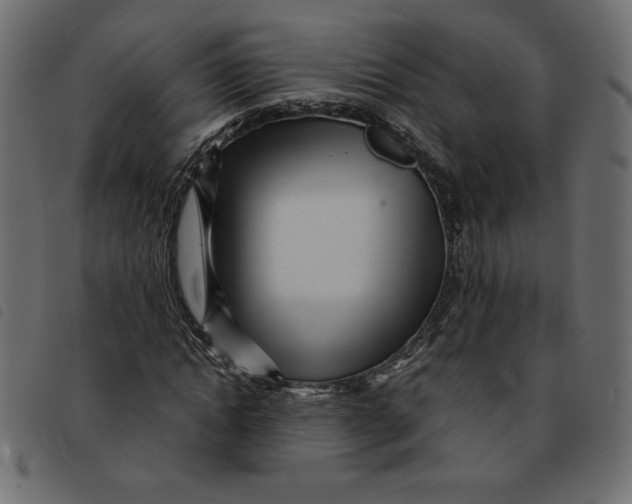 X0000092210822200710121127
