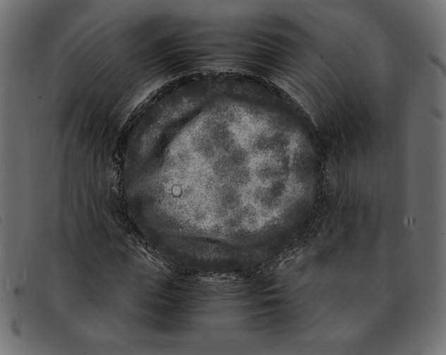 X0000092210823200710121127