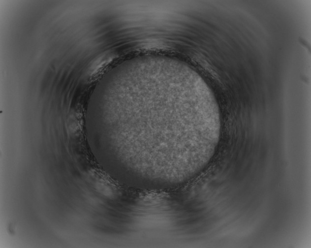 X0000092210824200710121127