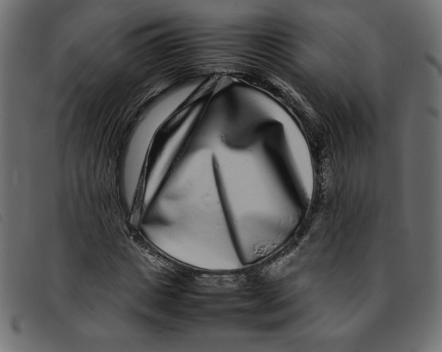 X0000092210825200710121127