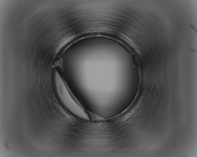 X0000092210826200710121127