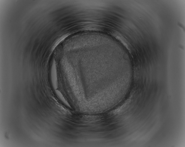 X0000092210829200710121127