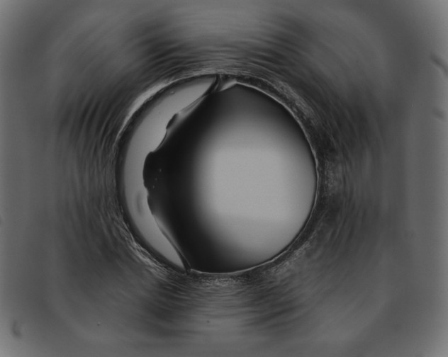 X0000092210830200710121127