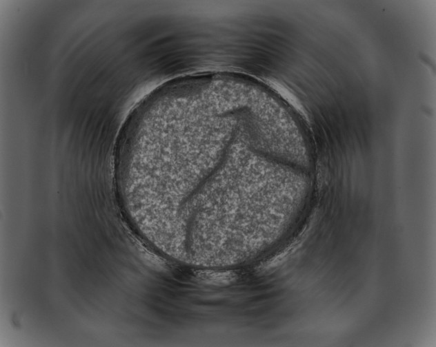 X0000092210831200710121127