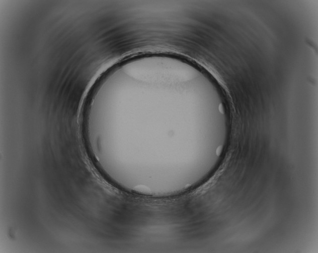 X0000092210832200710121127