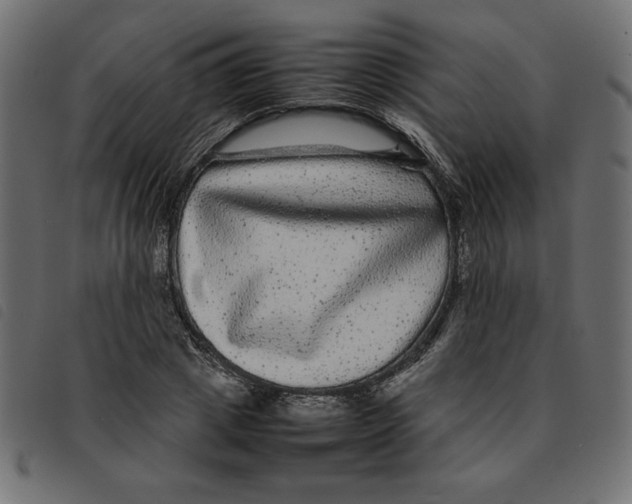 X0000092210833200710121127