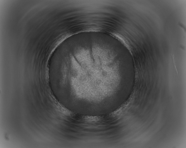 X0000092210835200710121127