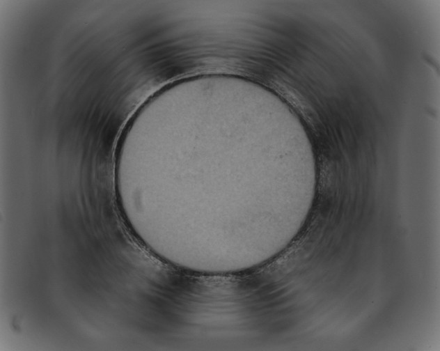 X0000092210836200710121127
