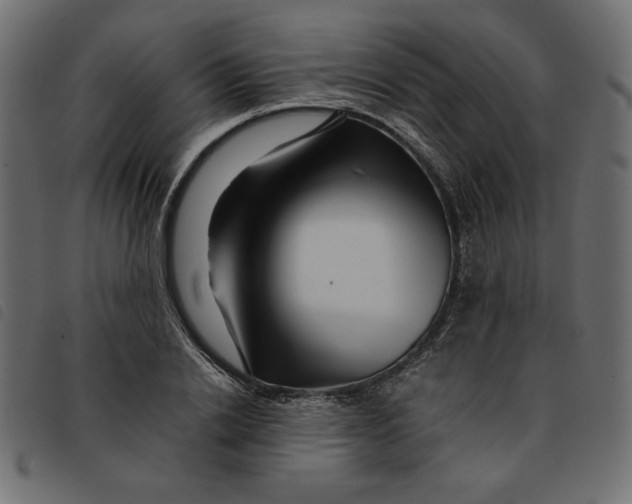 X0000092210838200710121127