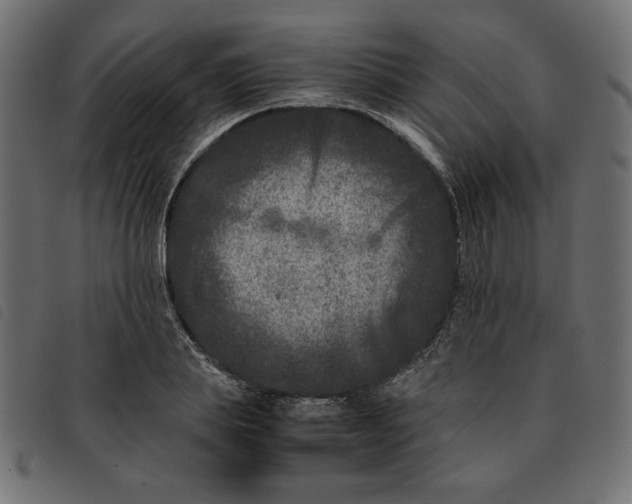 X0000092210839200710121127