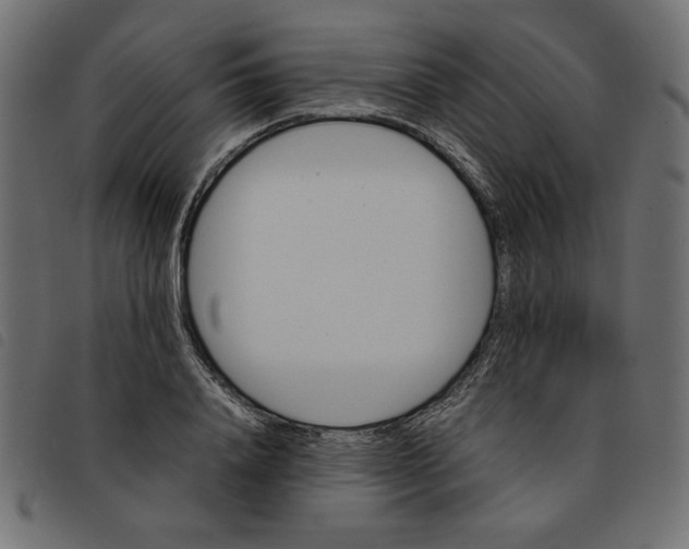 X0000092210840200710121127