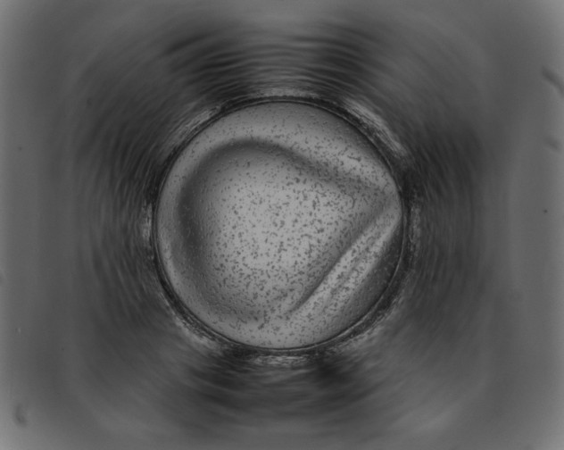 X0000092210841200710121127