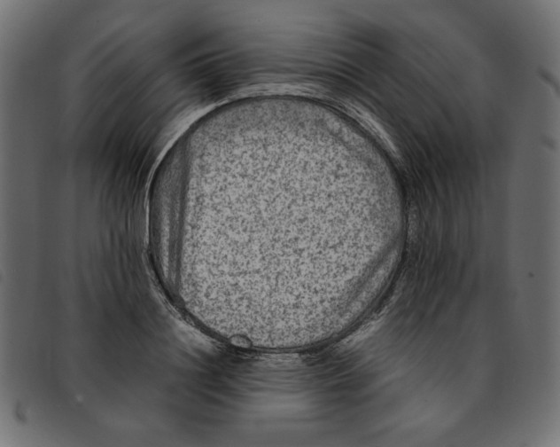 X0000092210844200710121127