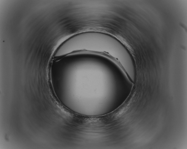 X0000092210846200710121127
