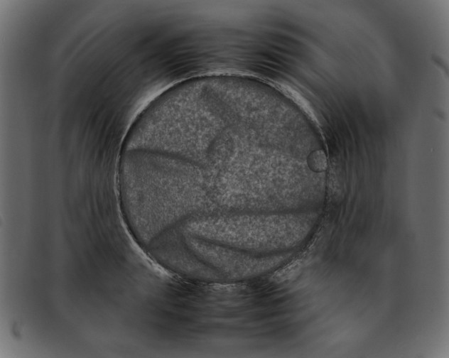 X0000092210847200710121127