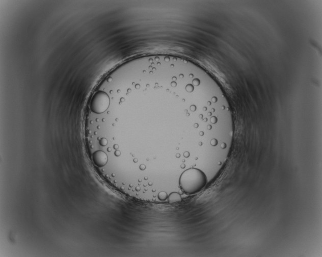 X0000092210848200710121127
