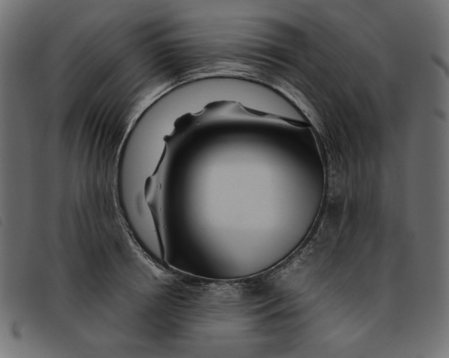 X0000092210850200710121127