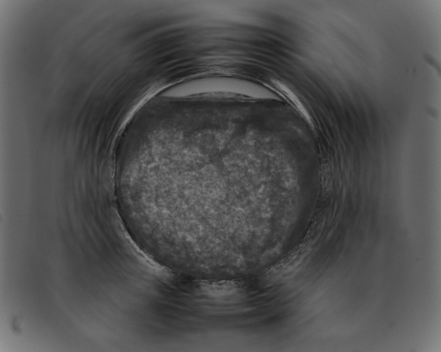 X0000092210851200710121127