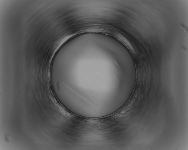 X0000092210852200710121127