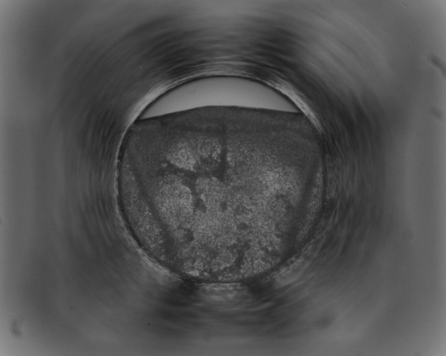 X0000092210853200710121127