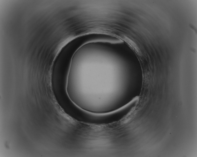 X0000092210854200710121127