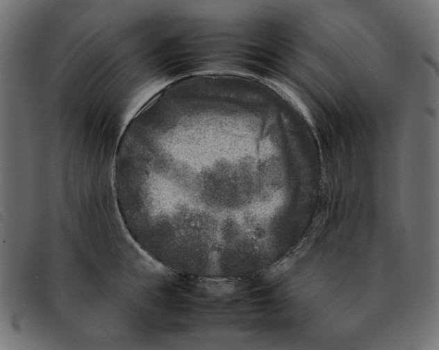X0000092210855200710121127