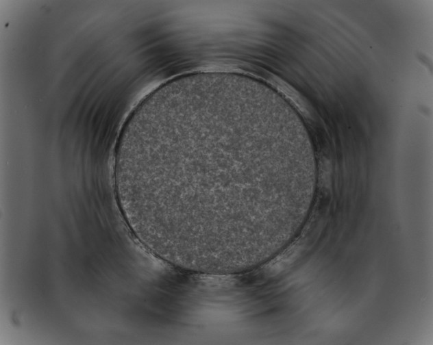 X0000092210856200710121127