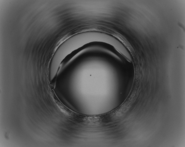 X0000092210858200710121127