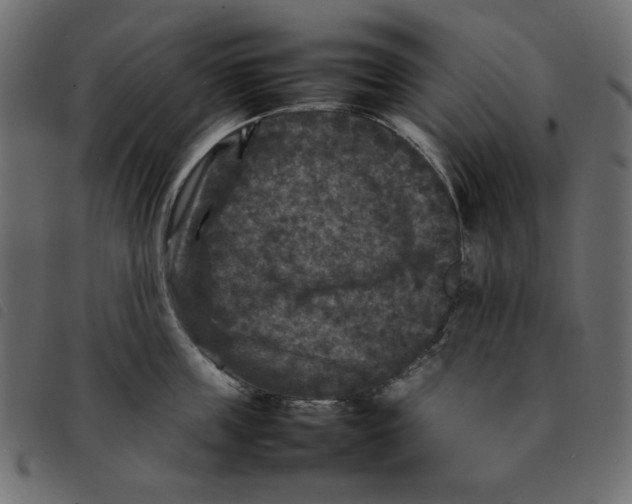 X0000092210859200710121127