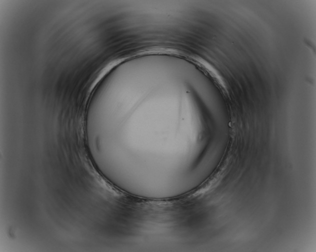 X0000092210860200710121127