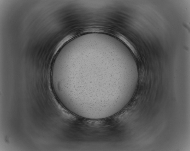 X0000092210861200710121127