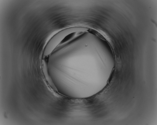 X0000092210862200710121127