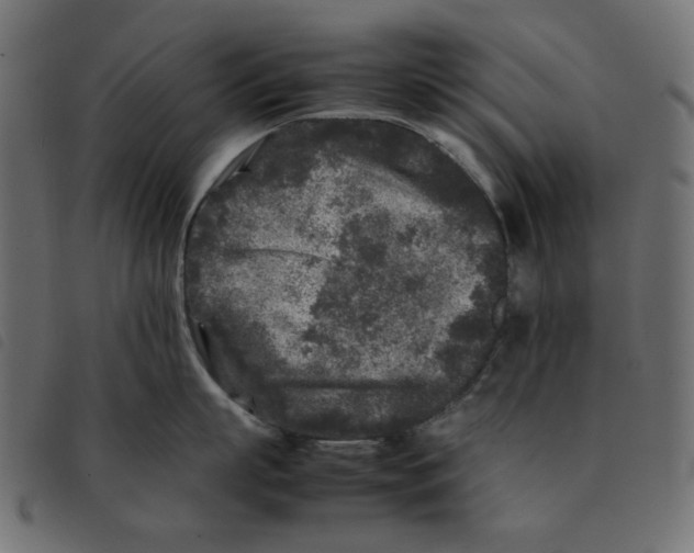 X0000092210863200710121127