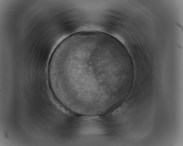 X0000092210864200710121127