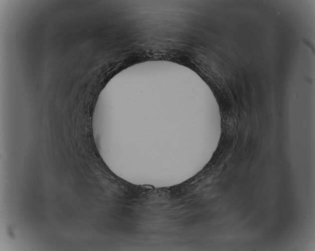 X0000092210865200710121127