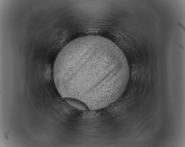 X0000092210866200710121127