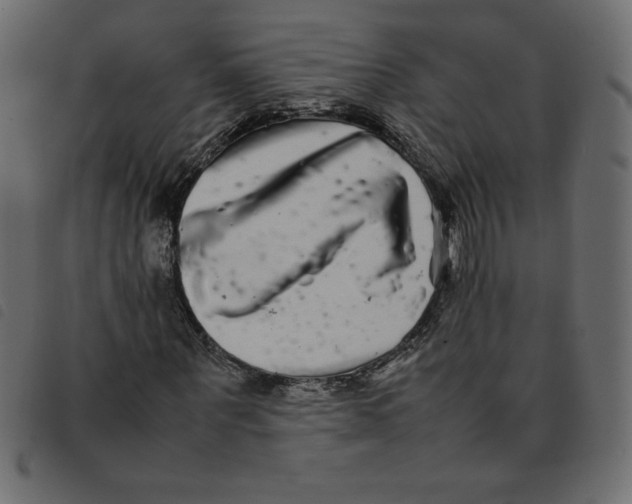 X0000092210867200710121127